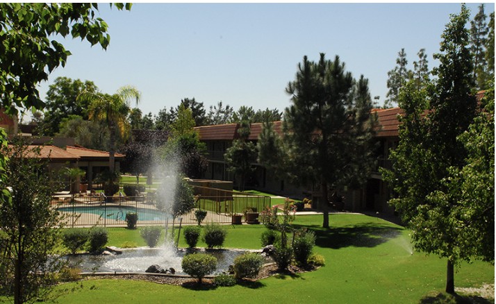 A serene outdoor garden with a fountain and pool surrounded by lush greenery.