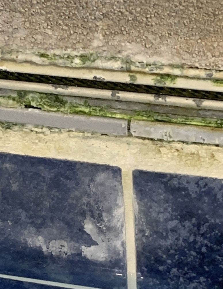 Weathered outdoor tiles with moss growth along the edges.