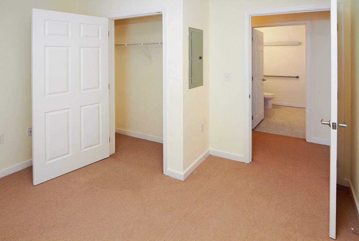 An empty room with carpeted flooring and multiple open closet doors.