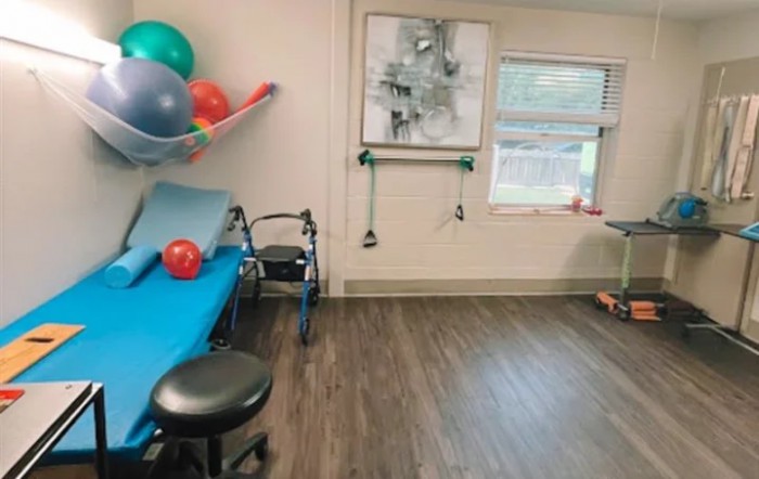 A physical therapy room equipped with exercise balls, a treatment table, and various rehabilitation tools.