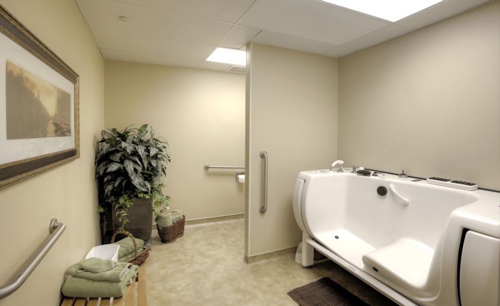 A modern bathroom featuring a walk-in tub and accessible design elements.