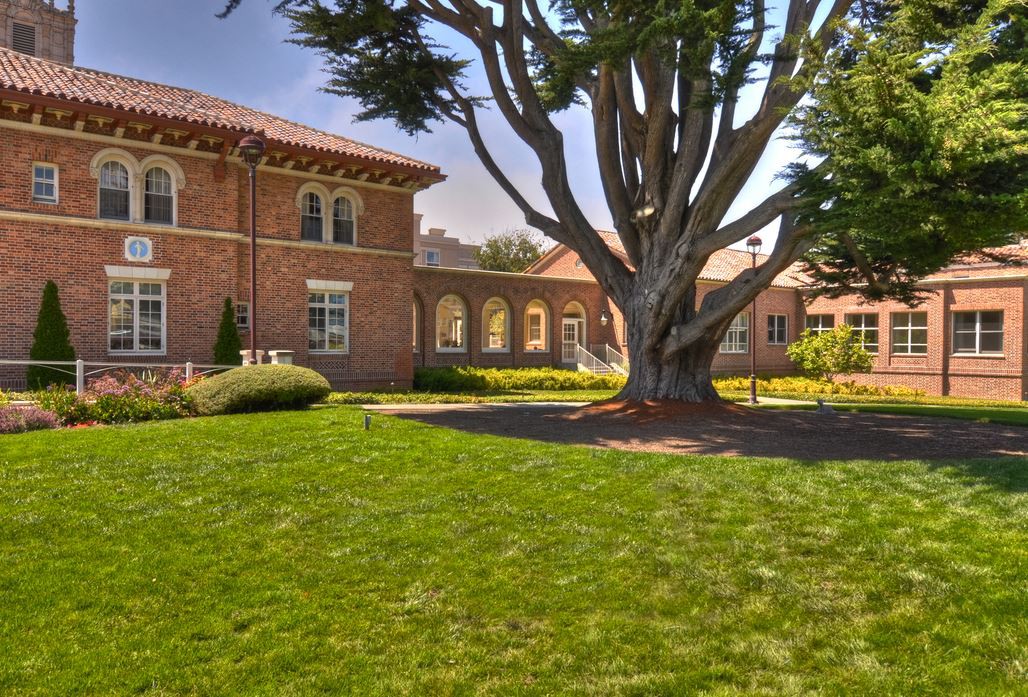 A scenic view of a large tree on a grassy lawn in front of a brick building on a sunny day.
