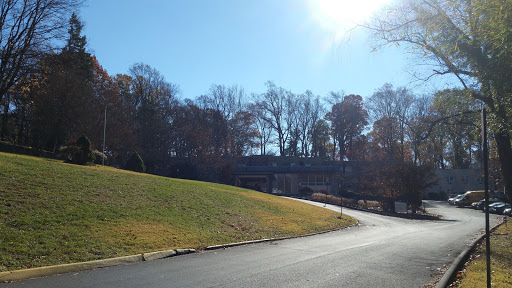 A serene view of a winding road surrounded by trees and grassy hills, basking in sunlight.