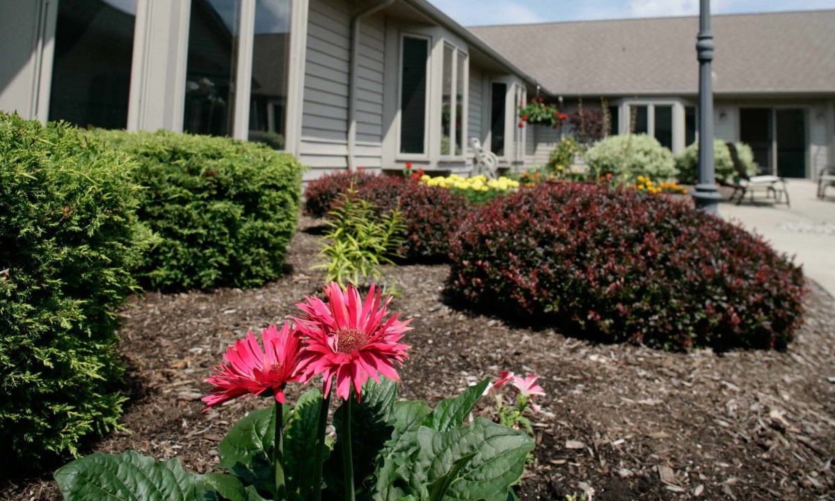 Bright flowers in a well-maintained garden outside a house on a sunny day.