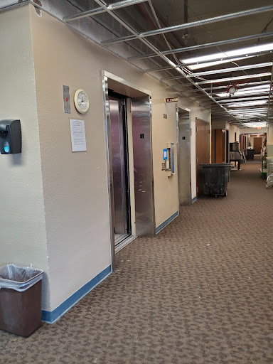A view of a modern building's hallway featuring elevators and patterned carpeting.