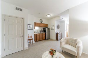 A cozy living area with a small kitchen and comfortable seating.