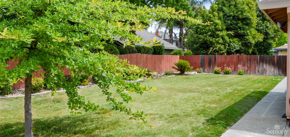 A serene garden scene with a lush lawn, trees, and a wooden fence.
