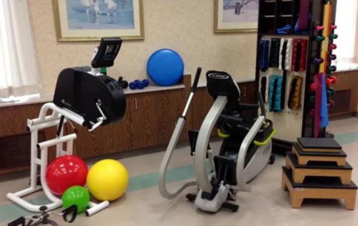 Miller's Health & Rehab By Miller's Merry Manor