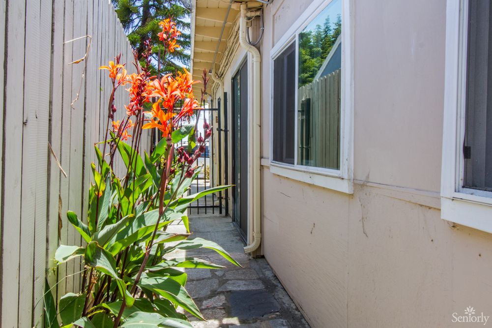 A narrow pathway lined with vibrant flowers beside a house on a sunny day.