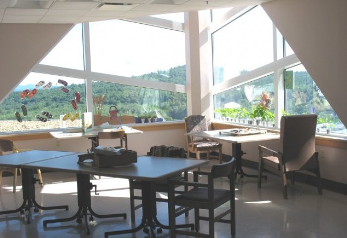 A sunlit room with large windows, tables, chairs, and potted plants.