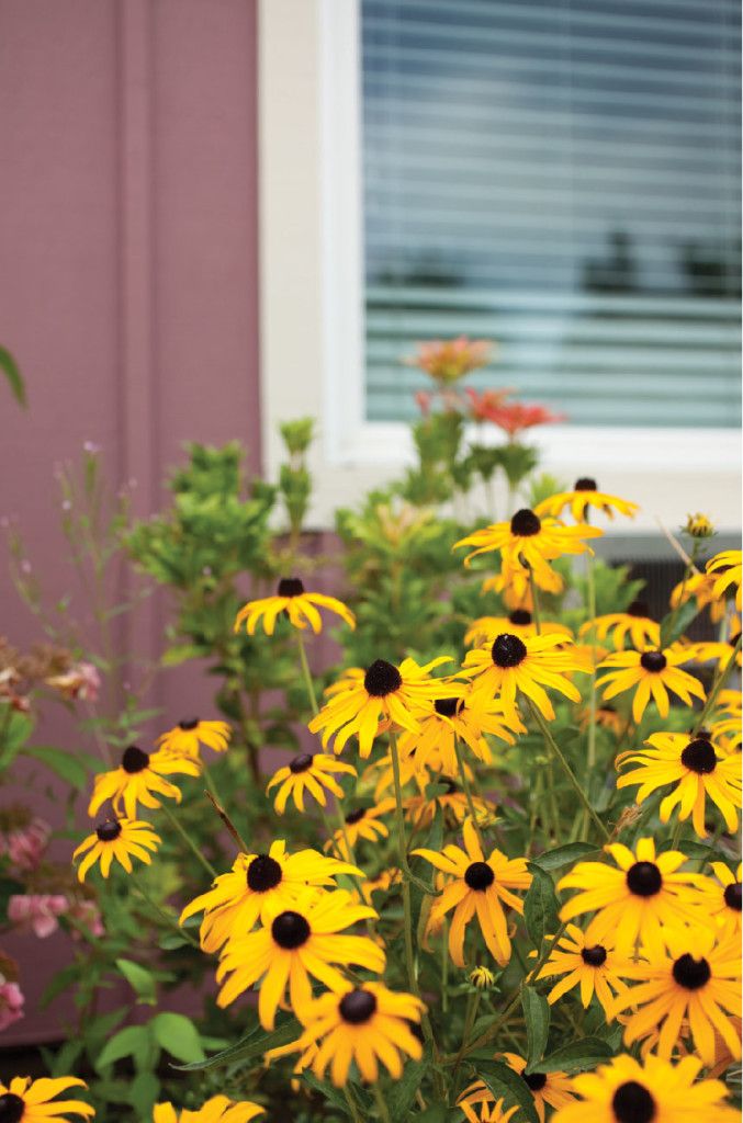 Quail Crest Memory Care