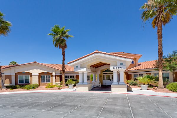 A sunny view of a building entrance with a palm tree and landscaped surroundings.