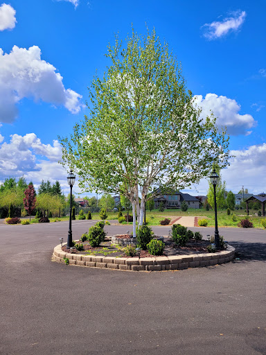 A serene landscape featuring a central tree surrounded by lampposts under a bright blue sky with fluffy clouds.