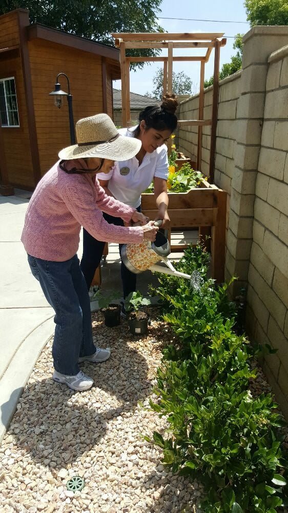 Two people working together to water plants in a garden.