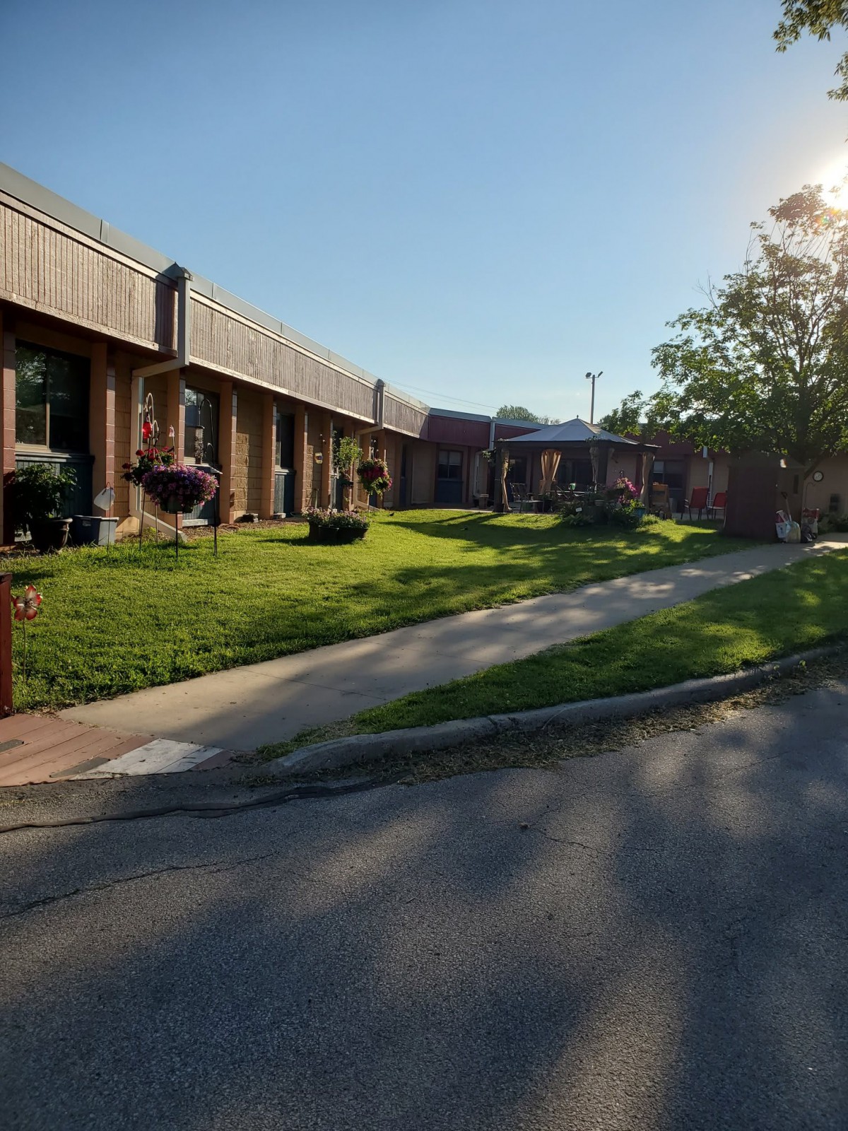A view of a residential area with a lawn, pathway, and trees basking in sunlight.