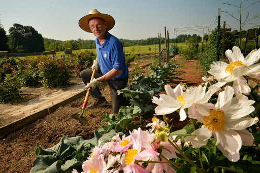 A farmer tending to his garden, surrounded by blooming flowers and fresh vegetables on a sunny day.