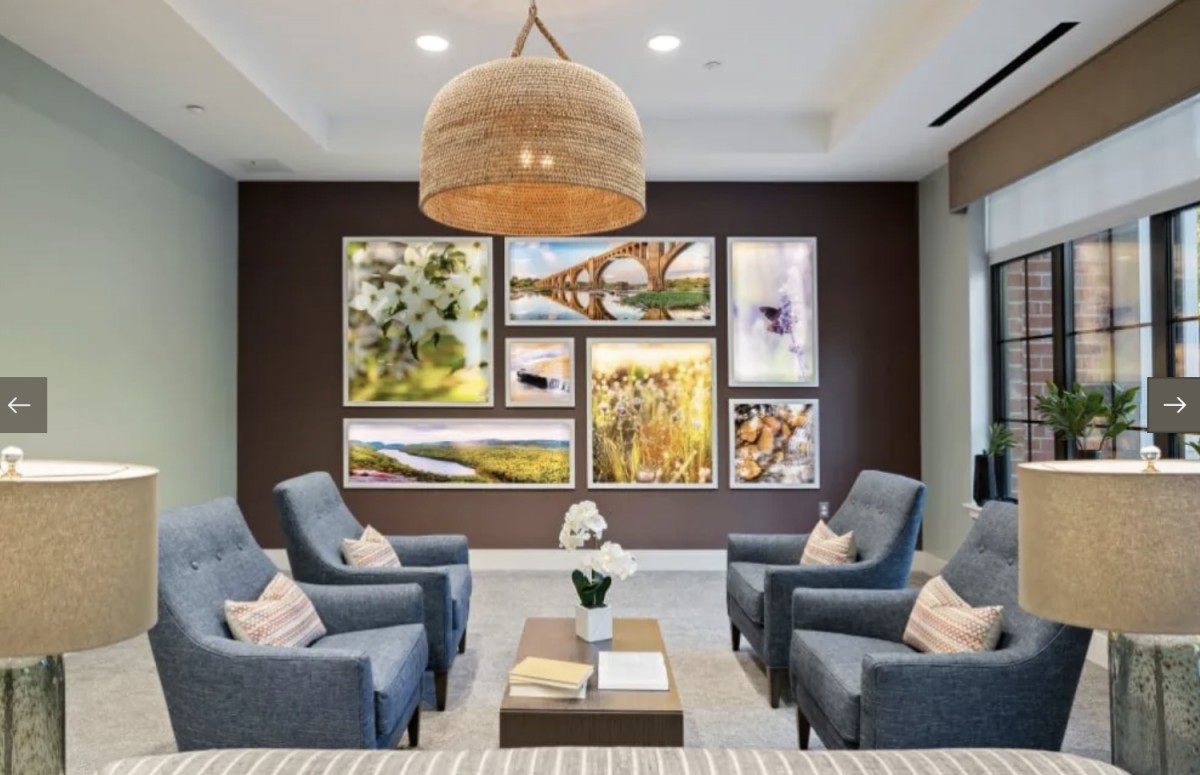 A modern living room featuring a gallery wall with nature-themed artwork, comfortable seating, and a woven pendant light.