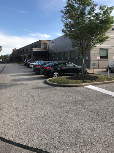 A view of a parking area with several cars parked alongside buildings and trees under a clear blue sky.