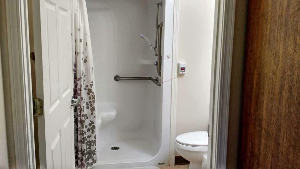 A compact bathroom with an accessible shower and a toilet.