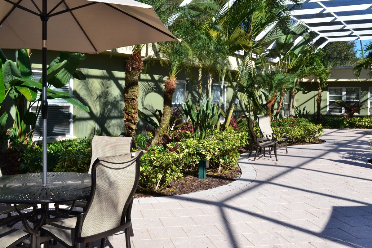 A sunny patio with outdoor seating and tropical plants.