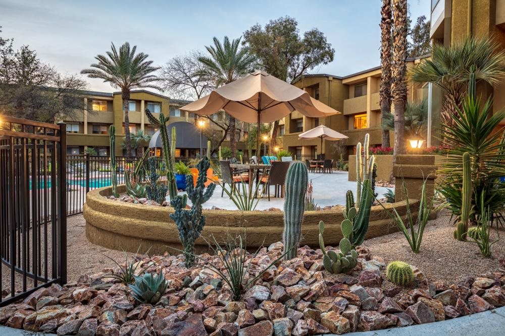 A relaxing resort with outdoor seating surrounded by desert landscaping, featuring cacti and palm trees.
