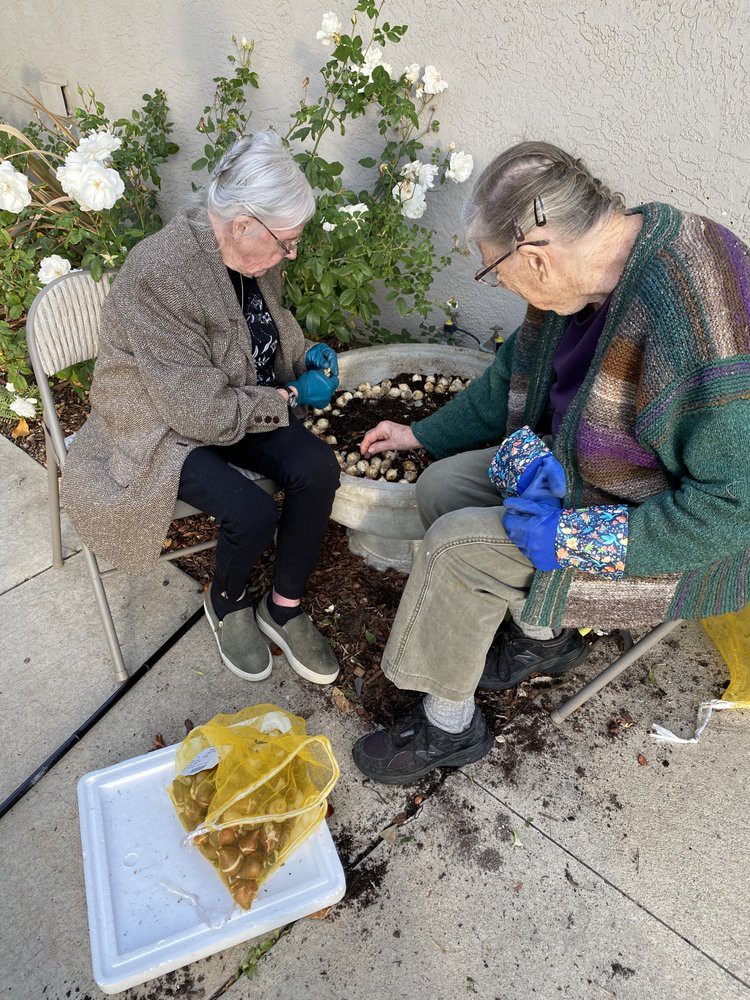 Two people engaged in gardening, sorting plant materials outside.