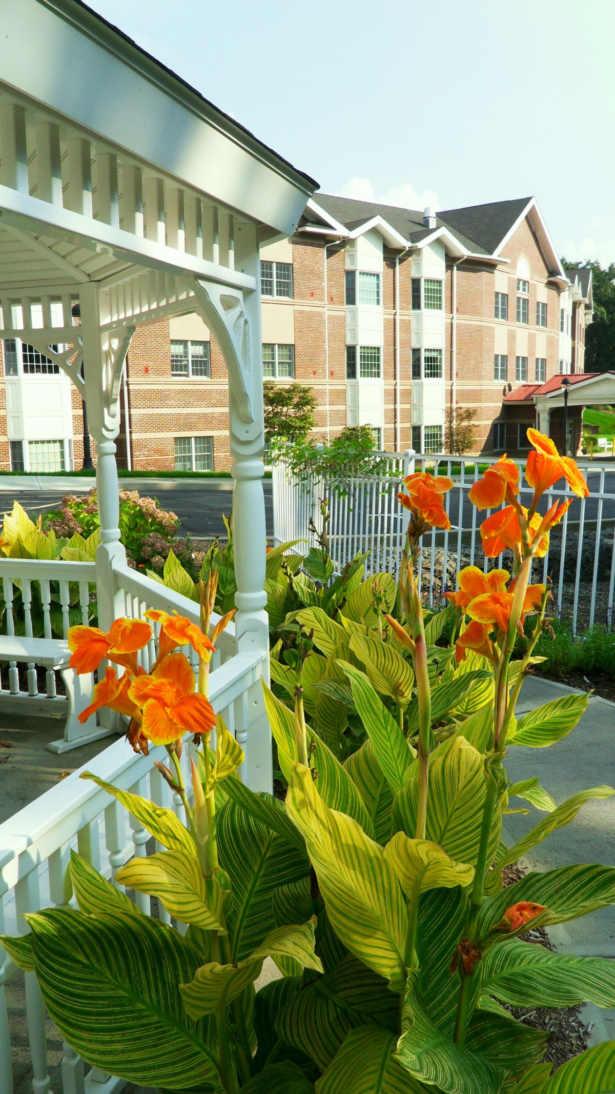 Holland Christian Home