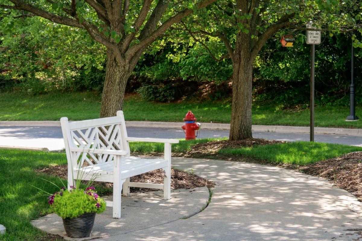 A white bench situated along a garden pathway, framed by lush trees and a red fire hydrant in the background.