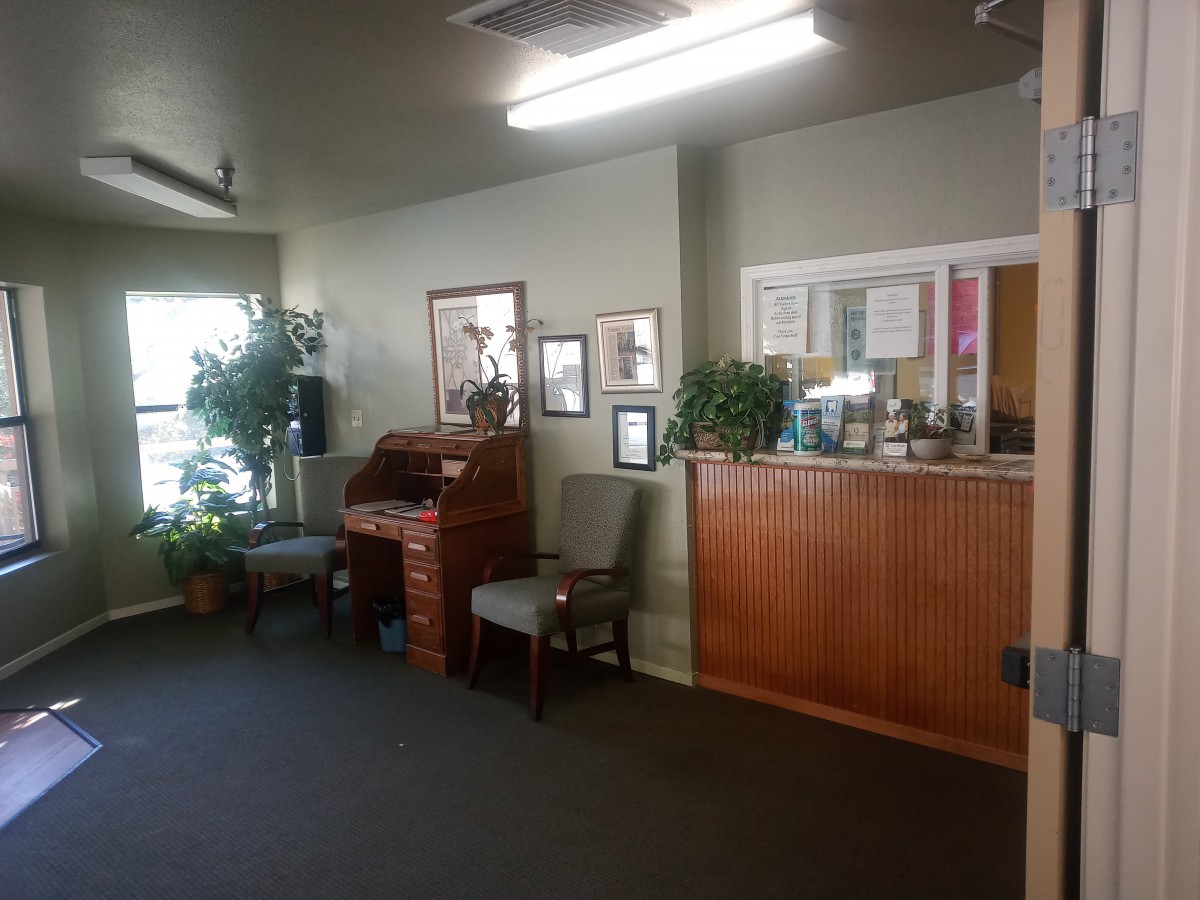 A reception area with seating, plants, and a wooden desk.