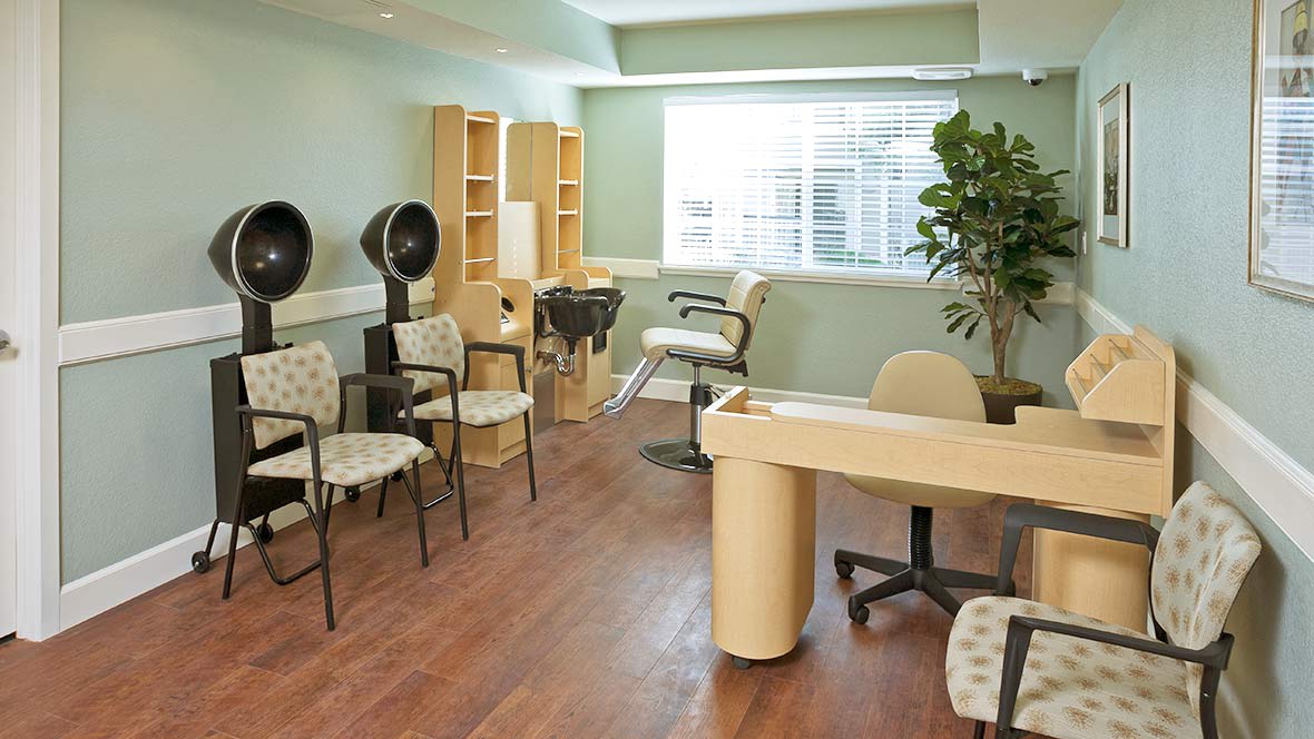 A well-lit hair salon interior featuring styling chairs, salon equipment, and decorative plants.