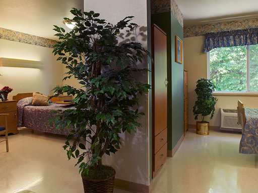 Willowcrest Health Services