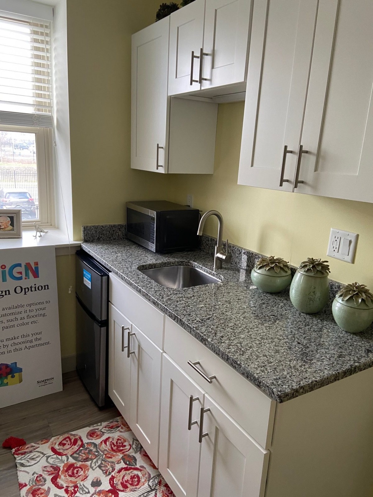 A small kitchen area with white cabinets, a granite countertop, and potted plants.