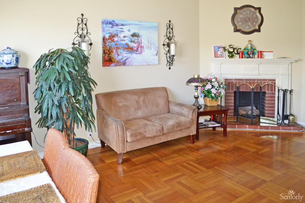 A cozy living room with a sofa, fireplace, and indoor plants.