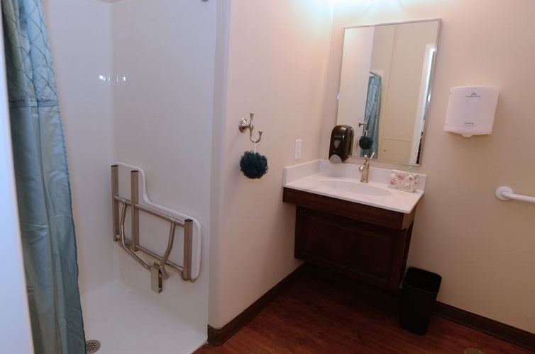 A bathroom featuring a sink with a mirror above it and a shower equipped with a grab bar.