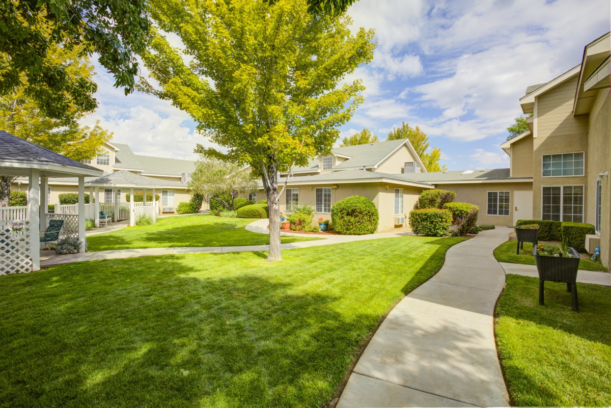A peaceful suburban neighborhood with well-maintained lawns and trees lining the pathways.