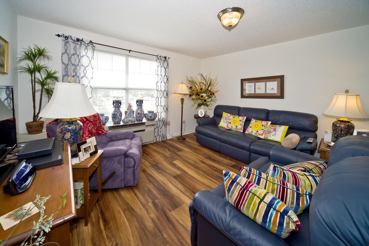 A cozy living room with colorful pillows on blue sofas, featuring a wooden floor and ample natural light from a large window.