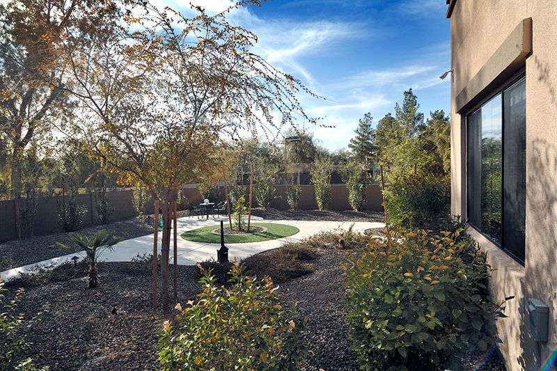 A well-maintained backyard with a winding pathway and lush trees under a clear blue sky.