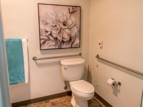 A bathroom with a toilet, featuring grab bars for accessibility, a floral artwork, and a towel hanging on the wall.