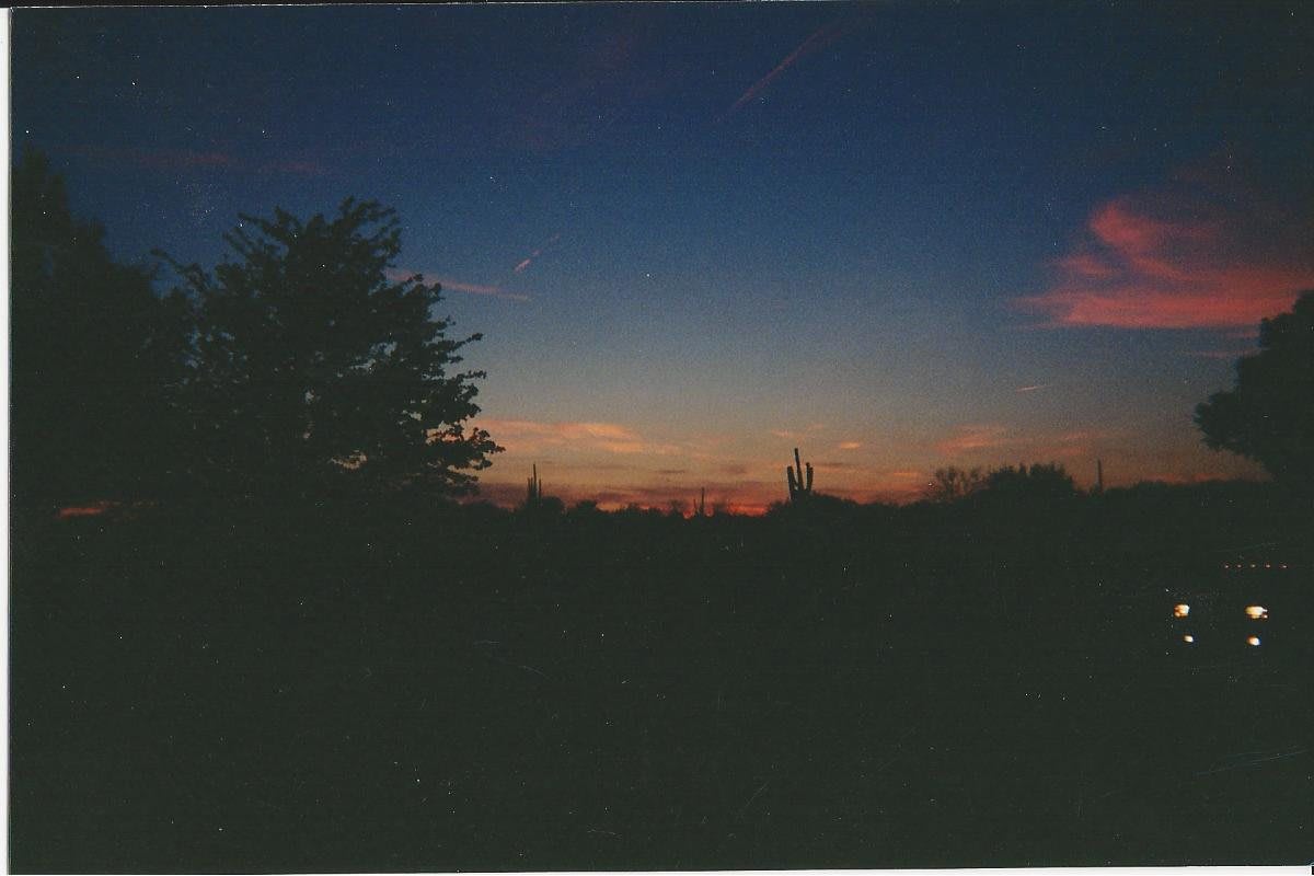 Silhouetted trees against a vibrant sunset sky.
