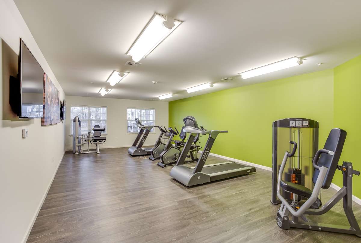 A modern gym with treadmills and exercise machines against a green accent wall.