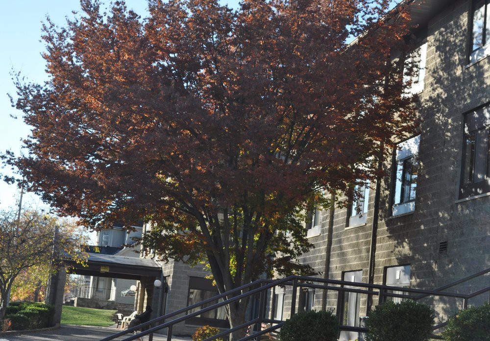 Grafton Oaks Nursing Ctr