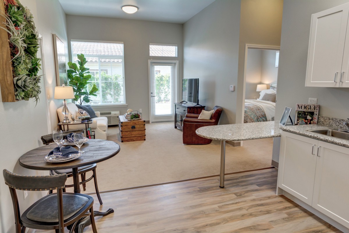 A modern and cozy apartment living room with natural light.