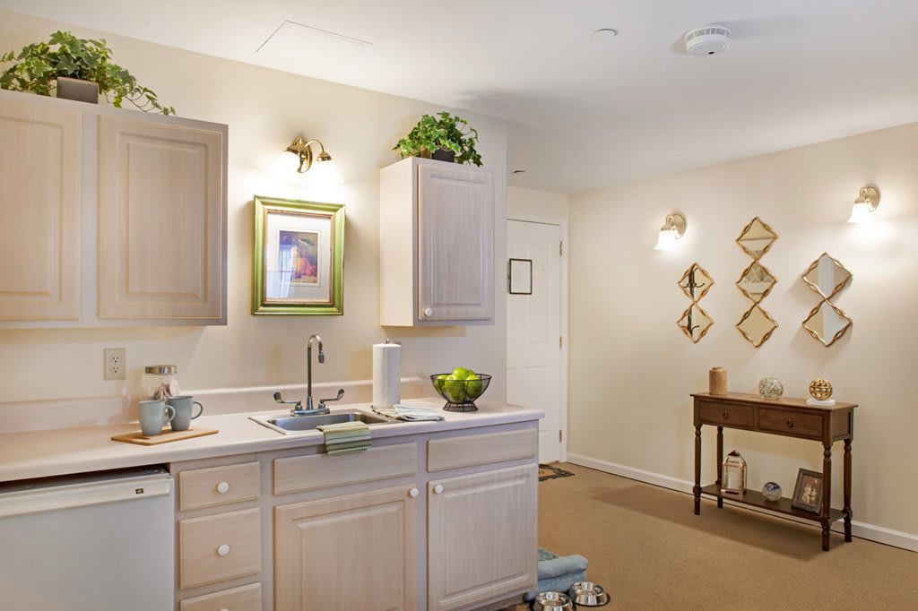 A modern kitchen with light cabinetry and tasteful decor.