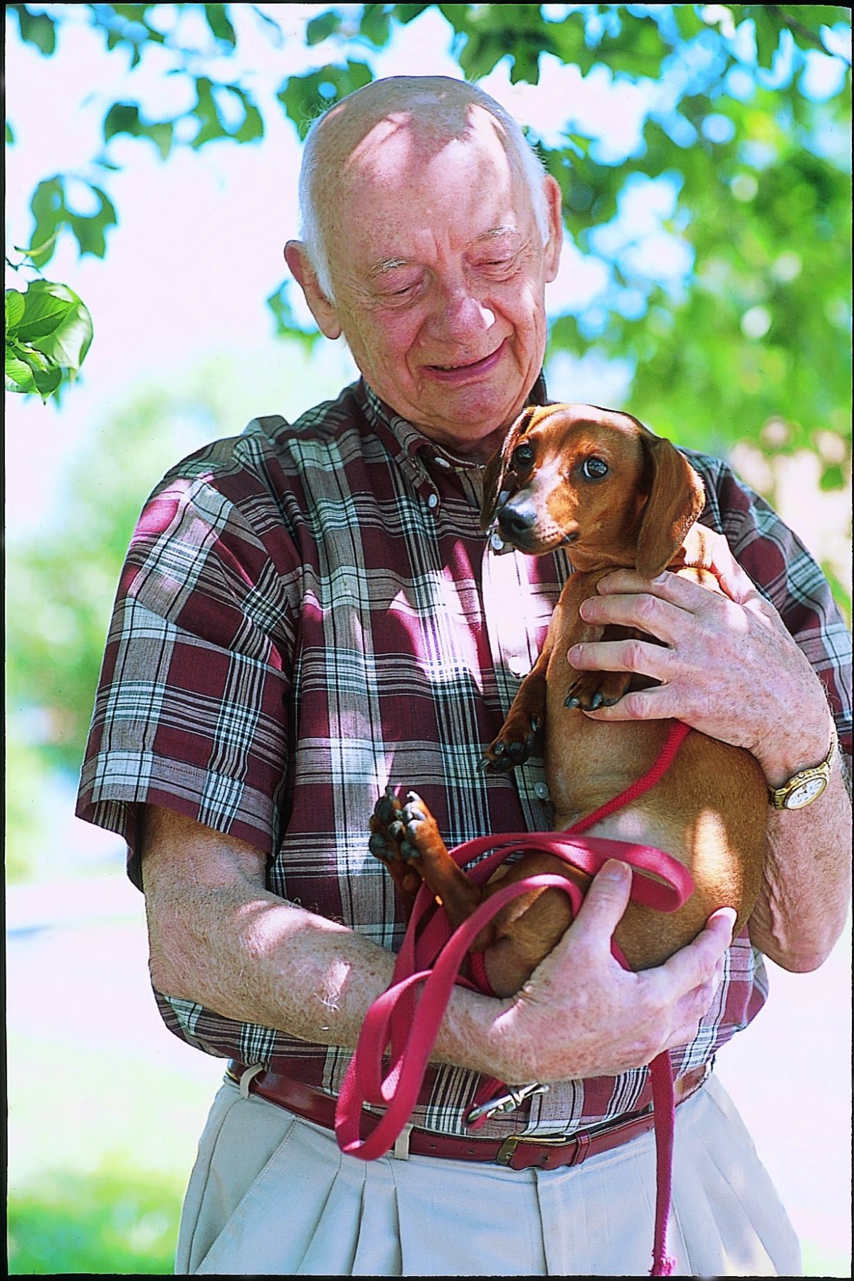 An elderly man holding a small dog outdoors on a sunny day.