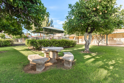 A serene outdoor space featuring a stone table surrounded by lush greenery.
