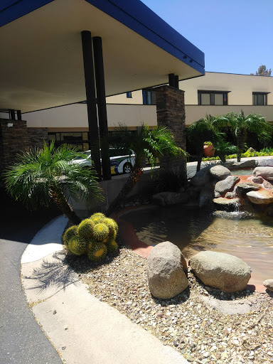 A serene outdoor area featuring palm trees and a decorative water feature, surrounded by rocks.