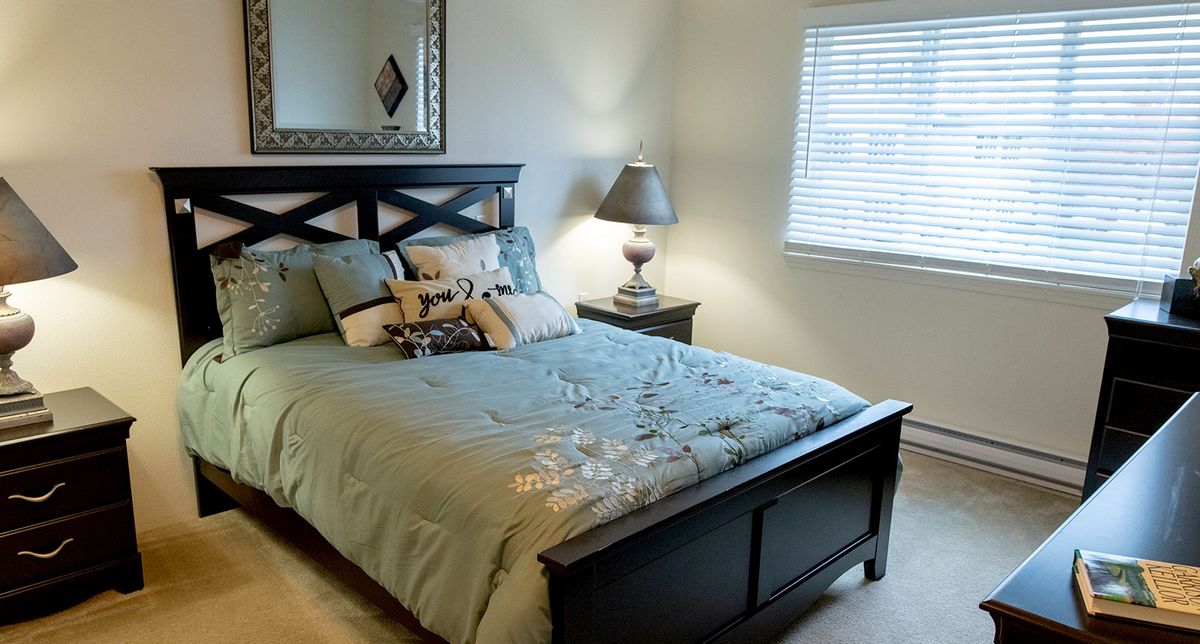 A cozy bedroom with a neatly made bed, decorative pillows, and a bedside lamp.