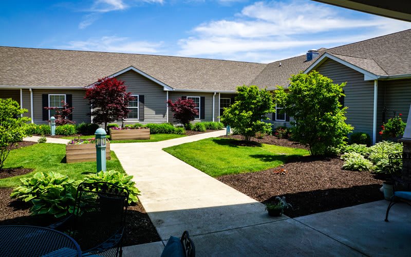 A well-maintained garden with a pathway leading to a house on a sunny day.