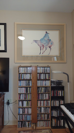 A cozy living room featuring a mounted painting and a CD rack filled with media.