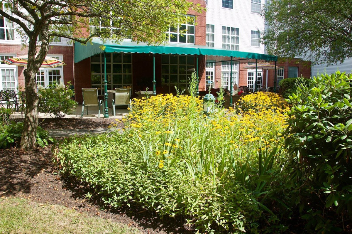 A lush garden with colorful flowers and an outdoor seating area under a green awning in front of a building.